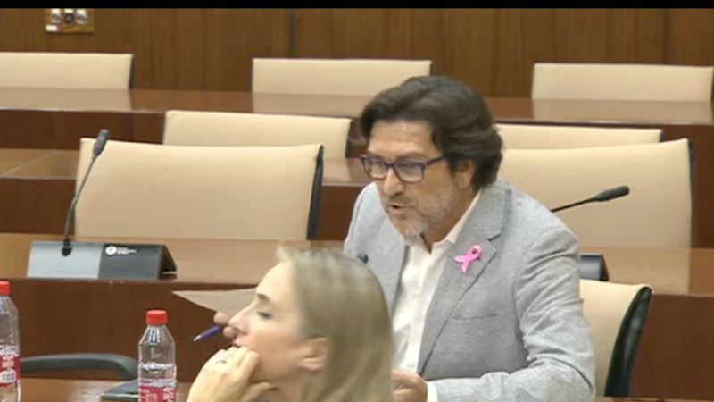 El parlamentario onubense del PSOE Enrique Gaviño, ayer en la Comisión de Salud del Parlamento.