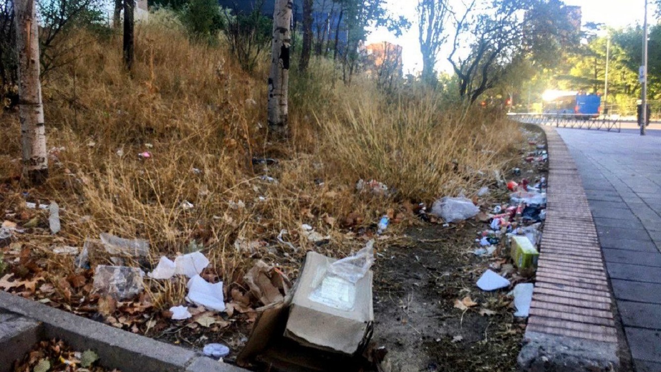 Imagen de un jardín de la Avenida de la Alfubera lleno de suciedad y con árboles secos. Daniel Ayuso.