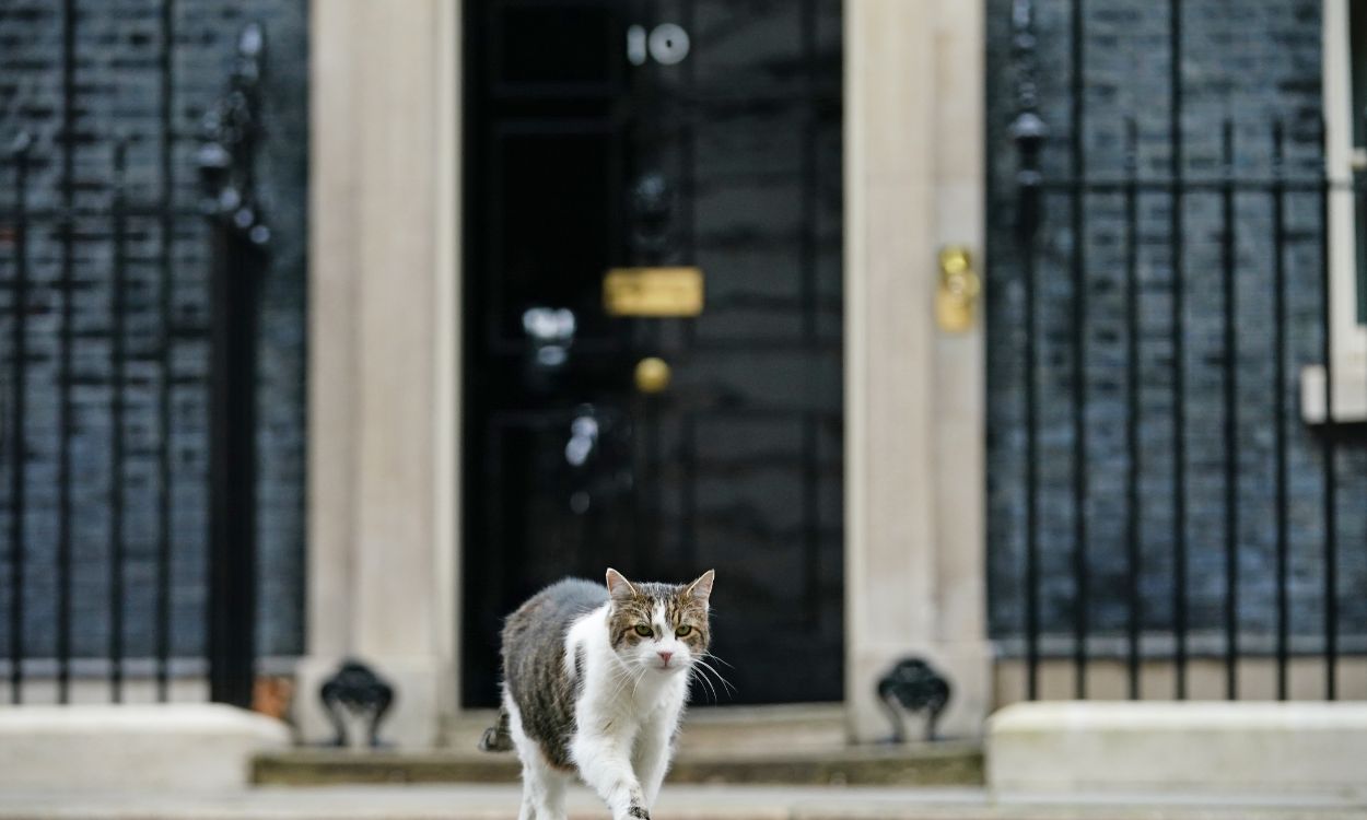 Larry, el gato de Downing Street. EP.