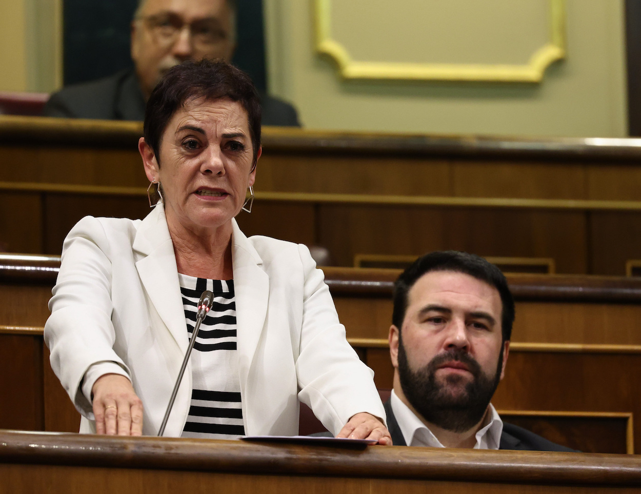 La portavoz de EH Bildu en el Congreso, Mertxe Aizpurua, interviene durante una sesión plenaria en el Congreso de los Diputados