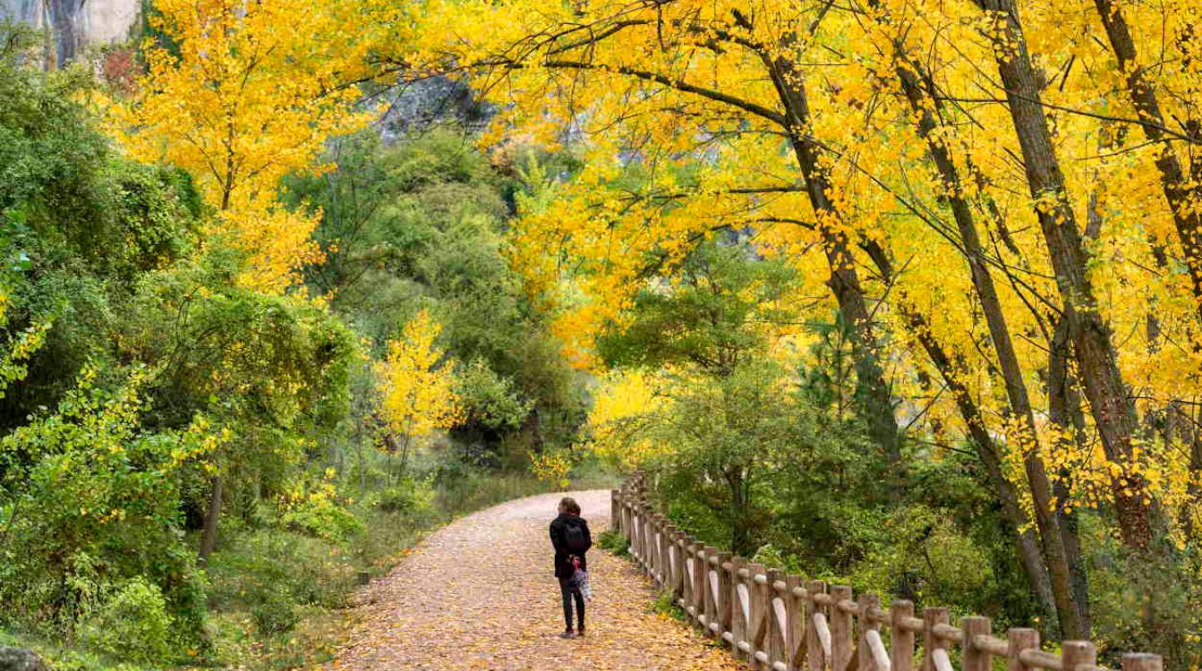 El otoño es una época ideal para hacer senderismo en Castilla-La Mancha y descubrir la riqueza cromática de sus bosques al perder la hoja © Turismo de Castilla-La Mancha David Blázquez