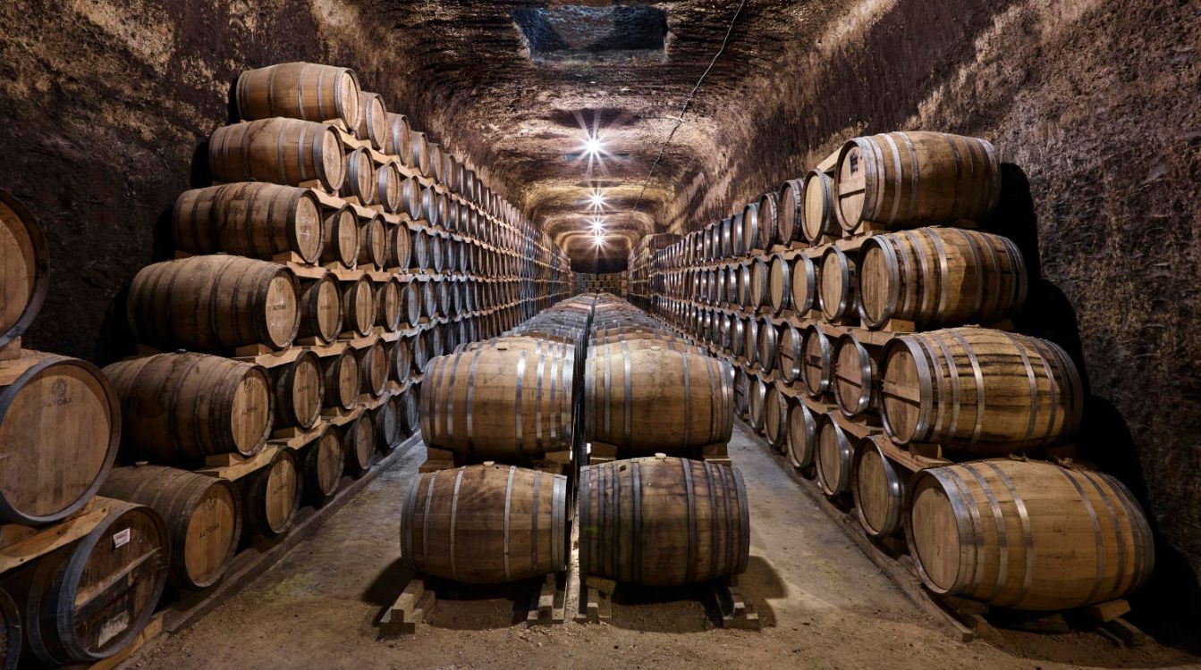 Castilla-La Mancha es la comunidad autónoma que más vino produce de España, con más de 22 millones de Hl. en la campaña de la vendimia 2021. © Turismo de Castilla La Mancha  David Blázquez