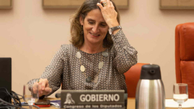 Teresa Ribera, vicepresidenta tercera del Gobierno y ministra para la Transición Ecológica y el Reto Demográfico. EP
