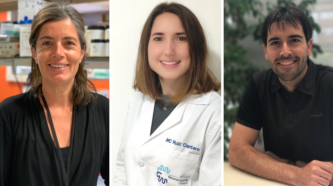 Los tres investigadores premiados por CaixaResearch Consolidate: Maria Rosa Sarrias, Maria Rosa Sarrias y Albert Fabregat