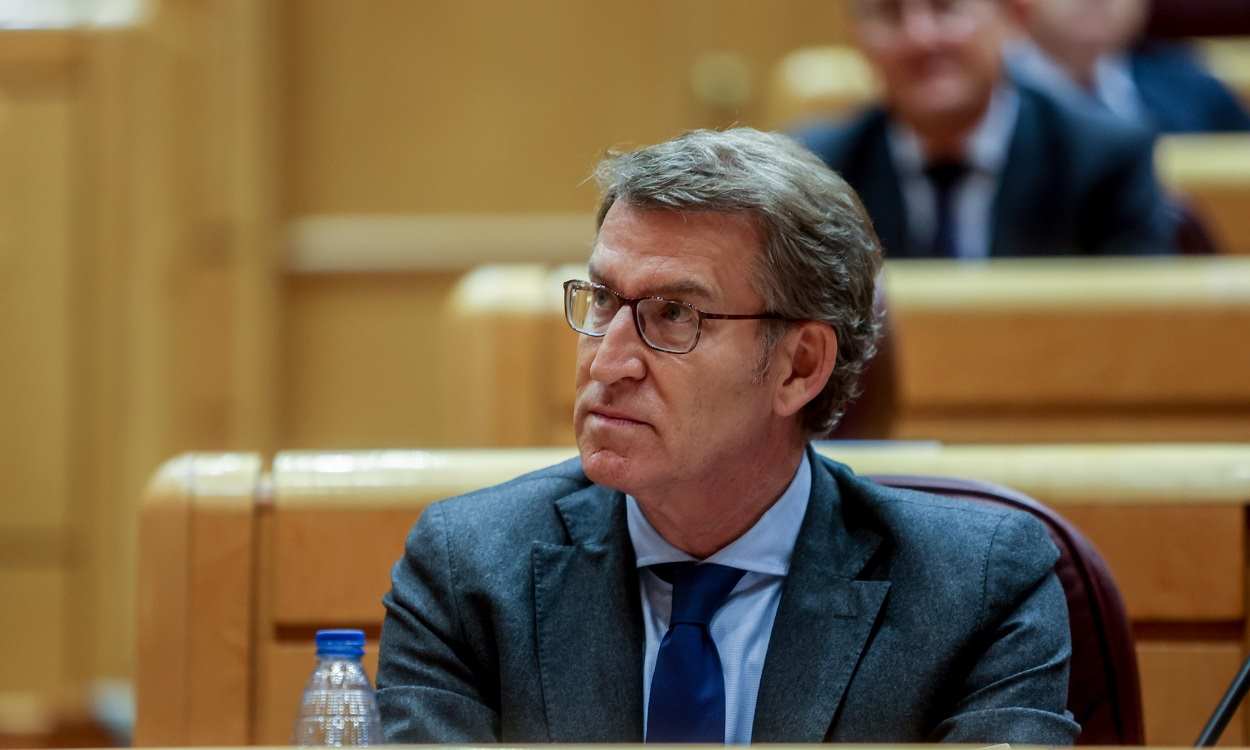 Alberto Núñez Feijóo, presidente del PP, en el Senado. EP