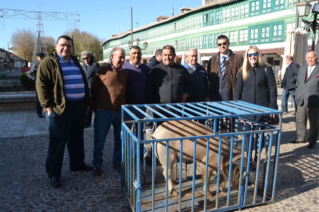 Almagro bautiza al cerdo que sorteará para San Antón con el nombre de “Artur más o menos”