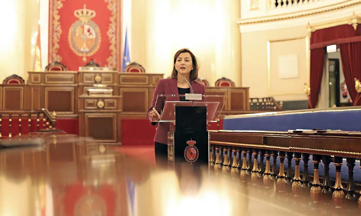 Eva Granados, portavoz del PSOE en el Senado. EP