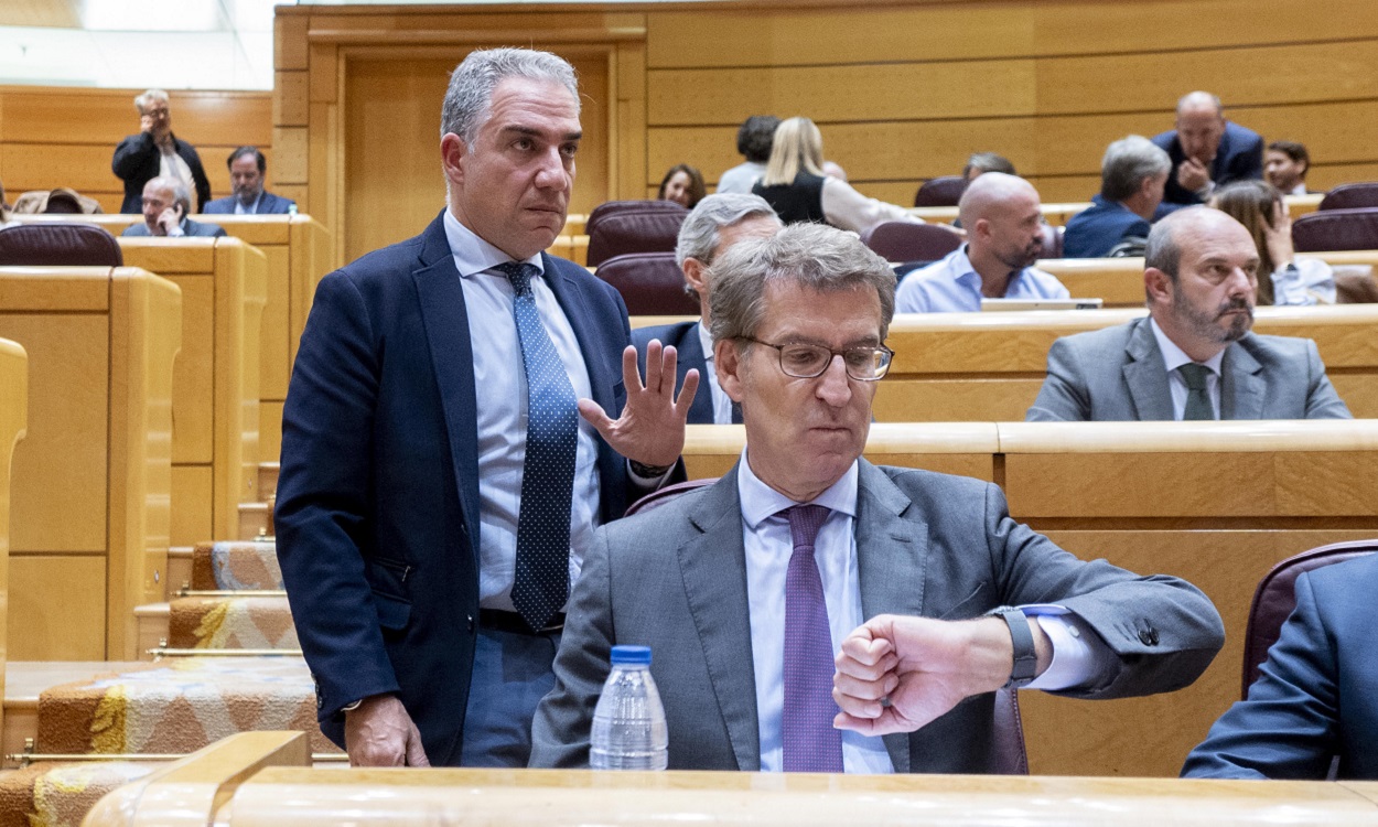 Elías Bendodo, coordinador del PP, junto a Alberto Núñez Feijóo, en el Senado. EP