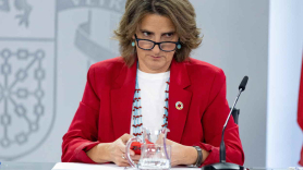 La vicepresidenta tercera y ministra para la Transición Ecológica y el Reto Demográfico, Teresa Ribera. EP