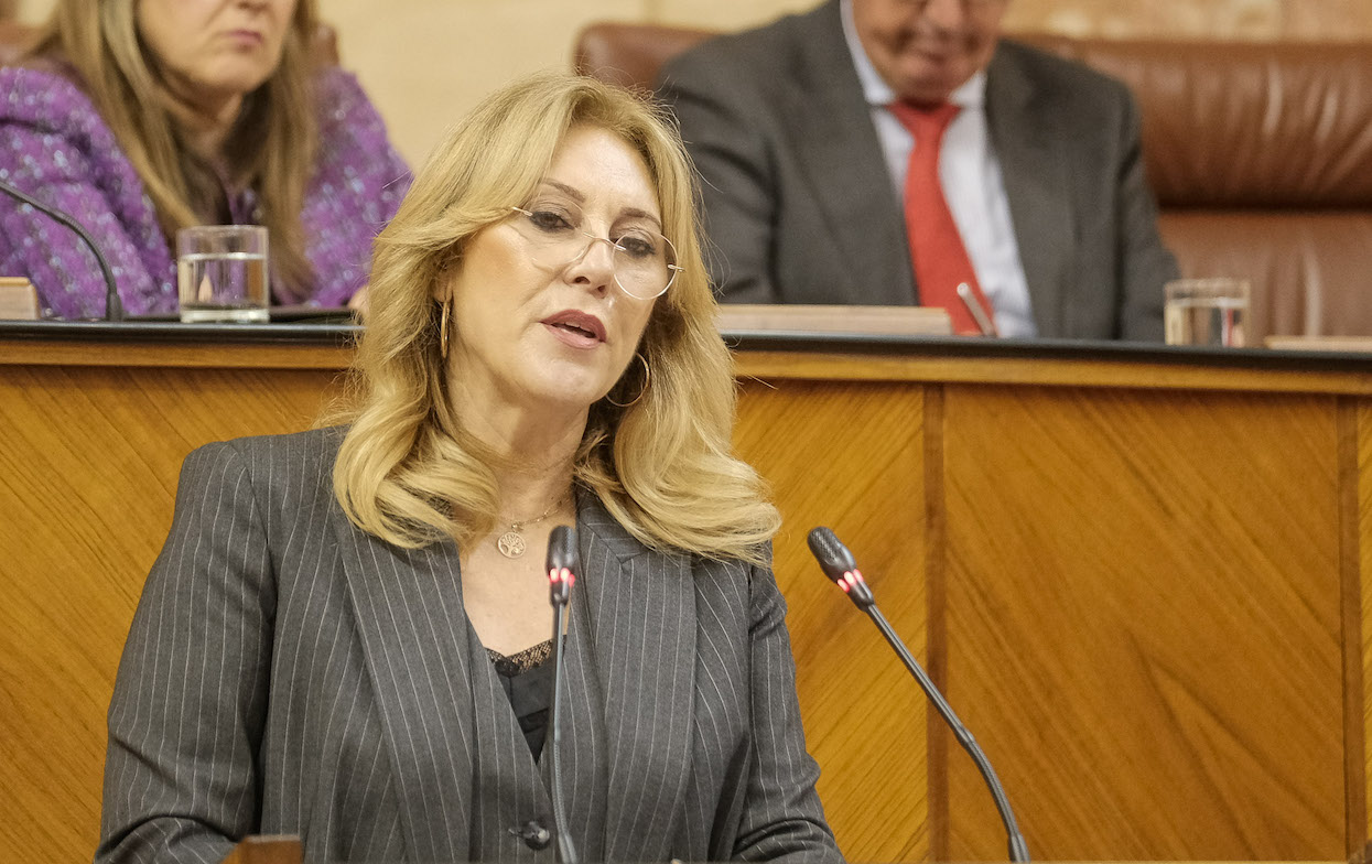 Carolina España, consejera de Economía, Hacienda y Fondos Europeos, presentando ante el Pleno el Proyecto de Ley del Presupuesto.