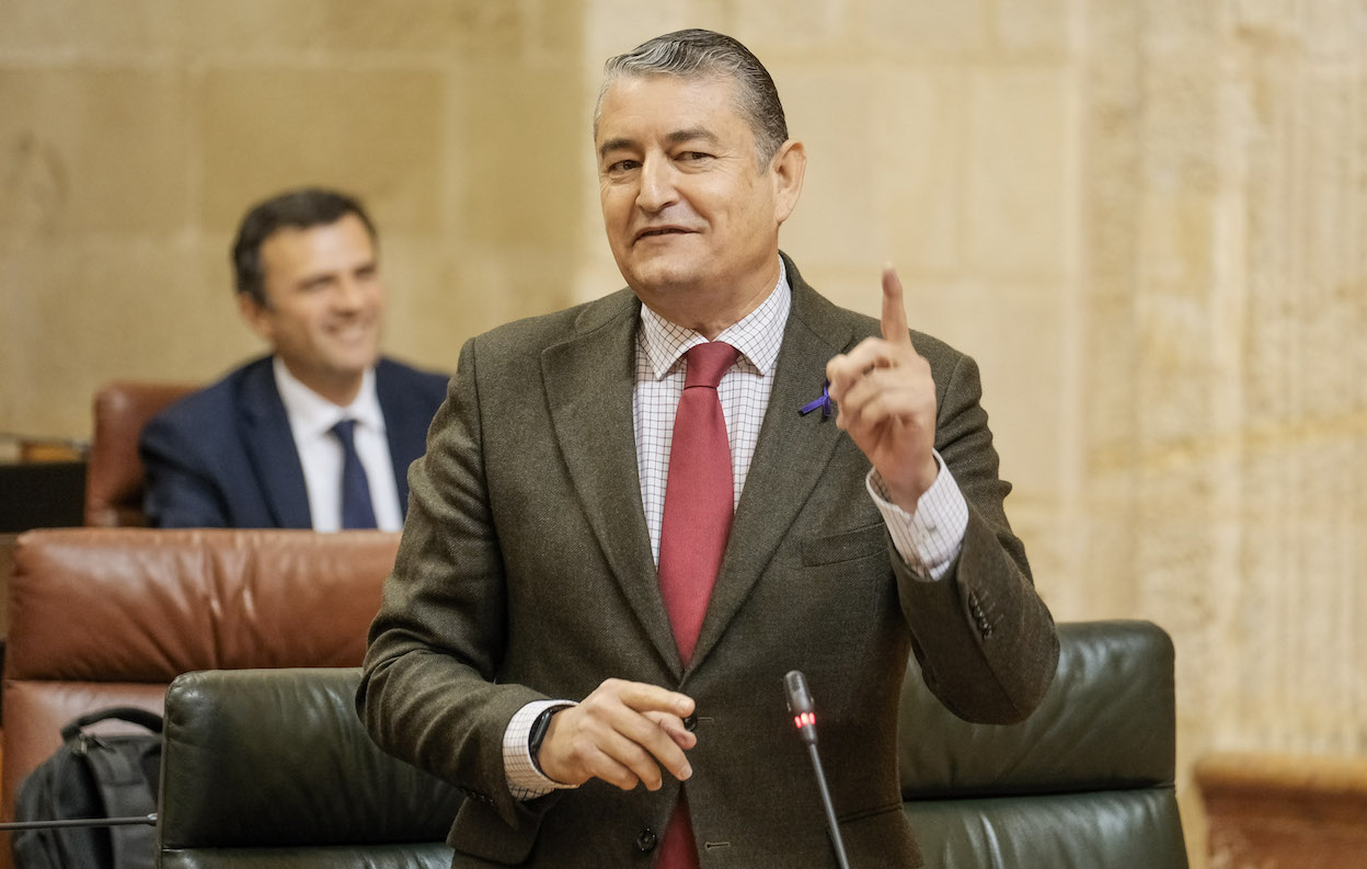 Antonio Sanz, consejero de Presidencia y mano de derecha de Juan Manuel Moreno, ayer en el Parlamento.