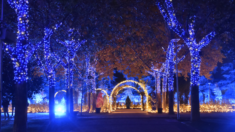 Mágicas Navidades de Torrejón