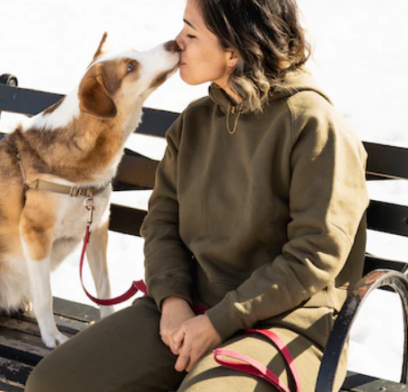 En caso de que muestre ansiedad o miedo excesivo, puede ser un motivo para que lo atiendan en la clínica veterinaria