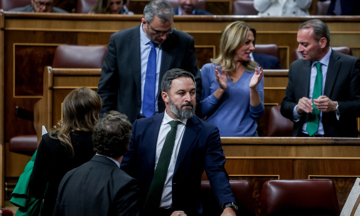 Santiago Abascal y los diputados de Vox en el Congreso de los Diputados. EP.