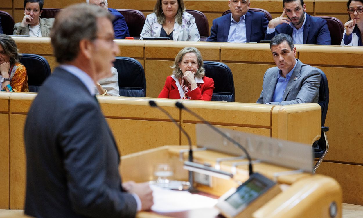 El presidente del Partido Popular, Alberto Núñez Feijóo, en el Senado.