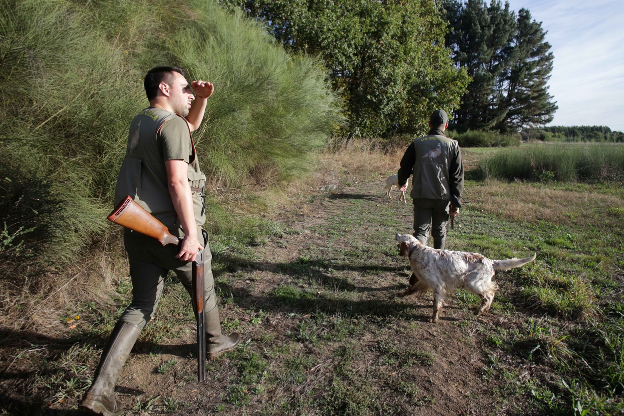 Críticas de los animalistas a las ayudas que la Xunta concede a los cazadores gallegos (Foto: Europa Press/Archivo).