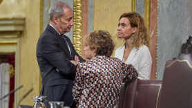 La presidenta del Congreso, Meritxell Batet, durante una sesión plenaria, en el Congreso de los Diputados. EP.