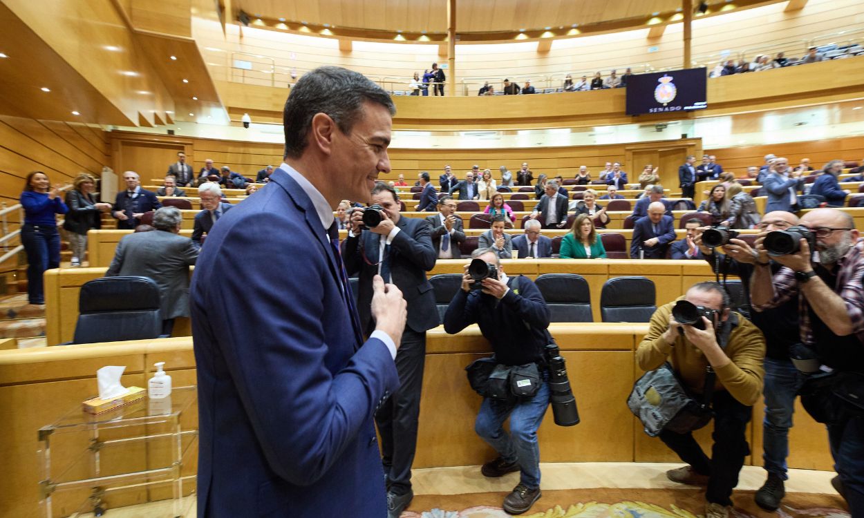 El presidente del Gobierno, Pedro Sánchez, entrando en el Senado. EP.