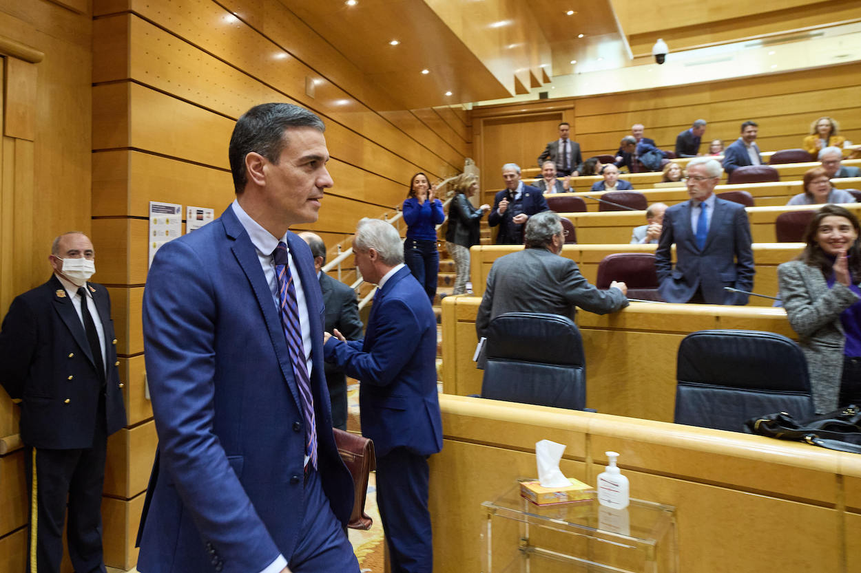 El presidente del Gobierno, Pedro Sánchez, a su llegada a una sesión de control al Gobierno en el Senado