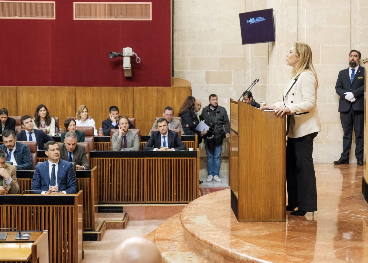 Carolina España, consejera de Economía, Hacienda y Fondos Europeos, defendiendo desde la tribuna las cuentas de 2023.