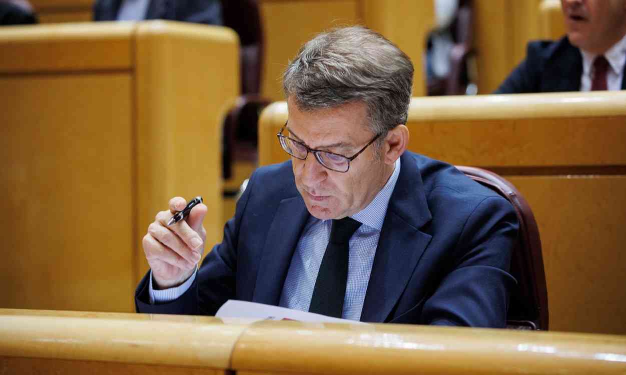 Alberto Núñez Feijóo, líder del PP, en el Senado. EP