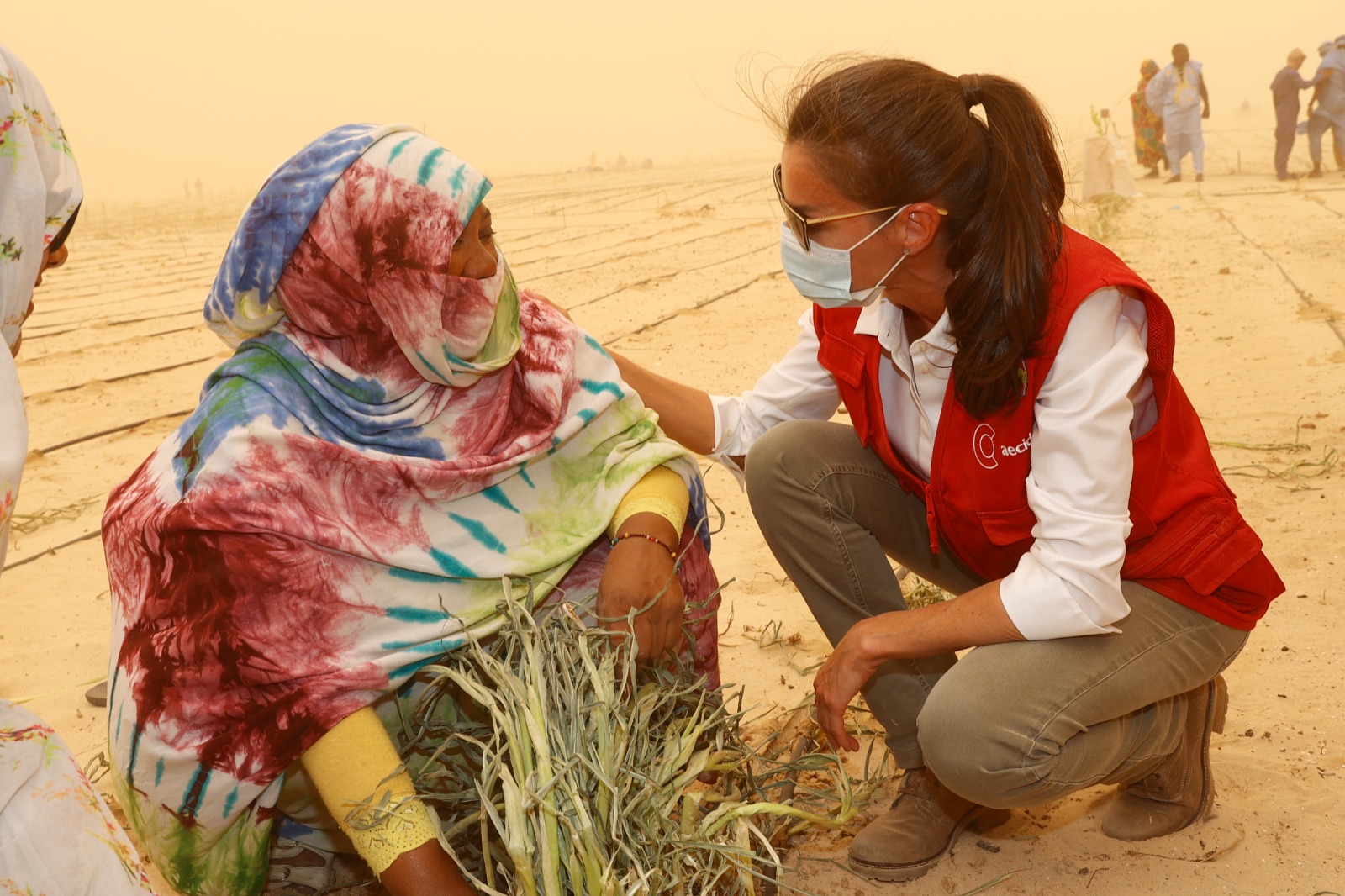 La Reina, en el Viaje de Cooperación a Mauritania
