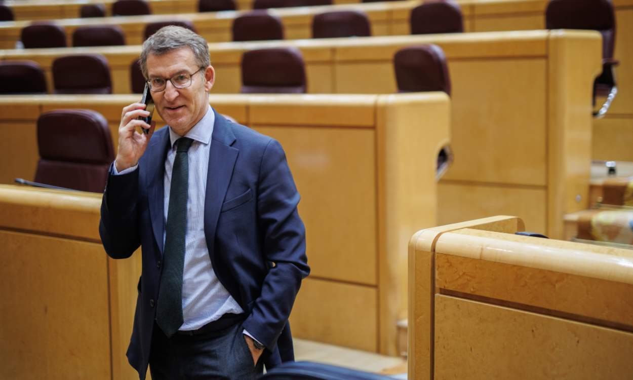 Alberto Núñez Feijóo, presidente del PP, en un pleno en el Senado. EP