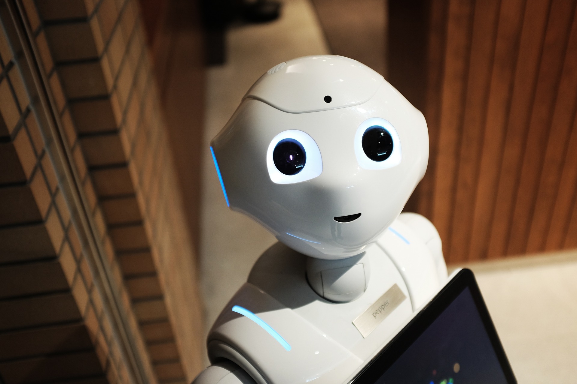 No tiene forma humanoide como este, pero el robot ChatGPT responde a tus preguntas sobre cualquier tema como si fuera una persona