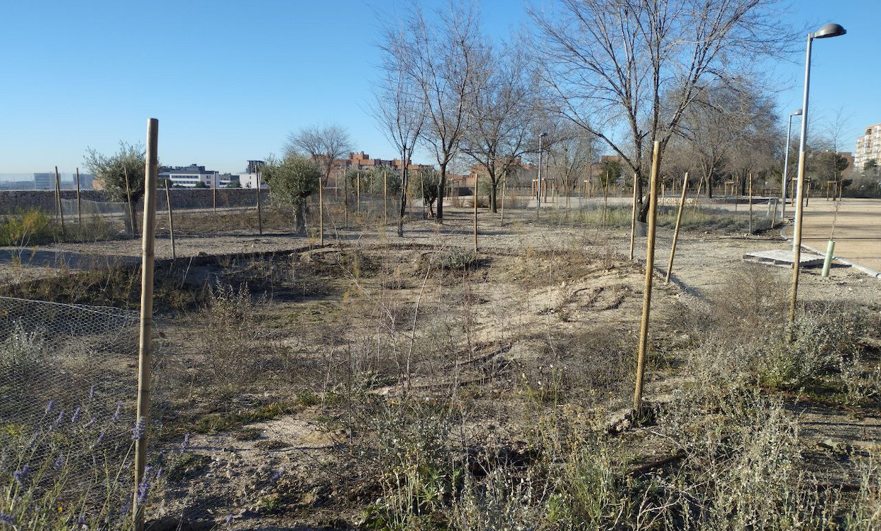 Bosque Metropolitano, Madrid. Vecino afectado