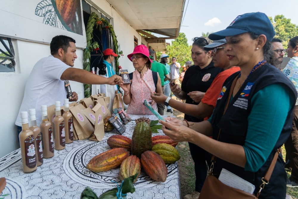 El paso a los cultivos lícitos no solo es una bendición para la población, sino que ayuda a la conversación de la biodiversidad