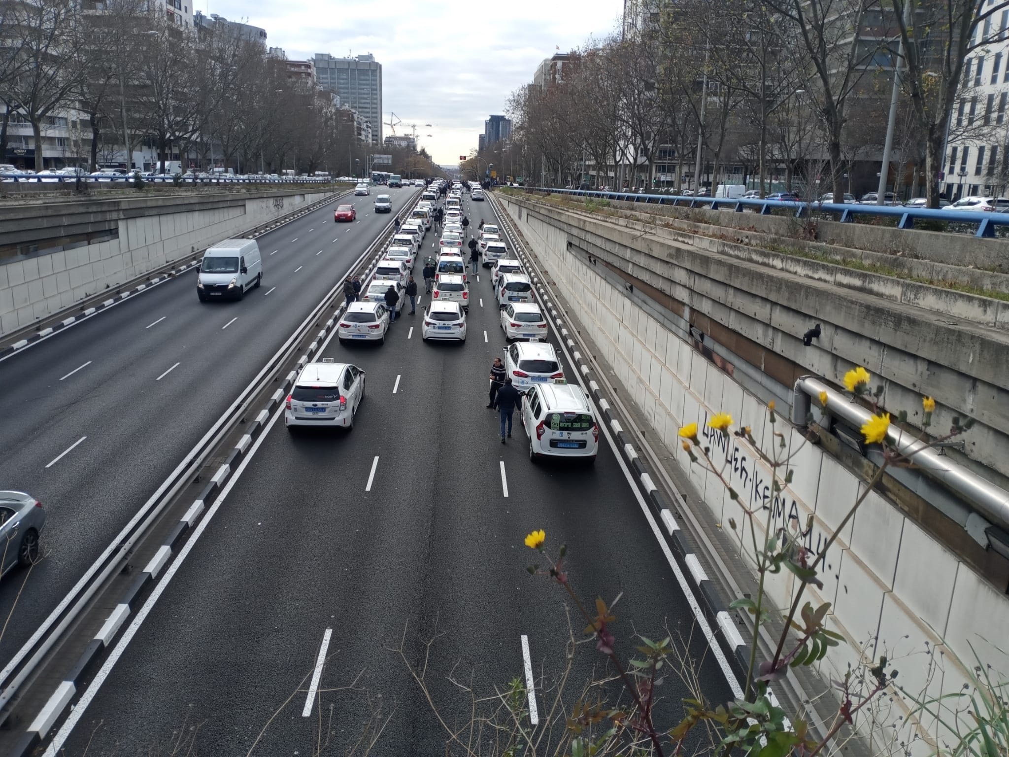 Los taxistas de Madrid paran la Castellana contra la "precarización, especulación y acumulación de licencias"