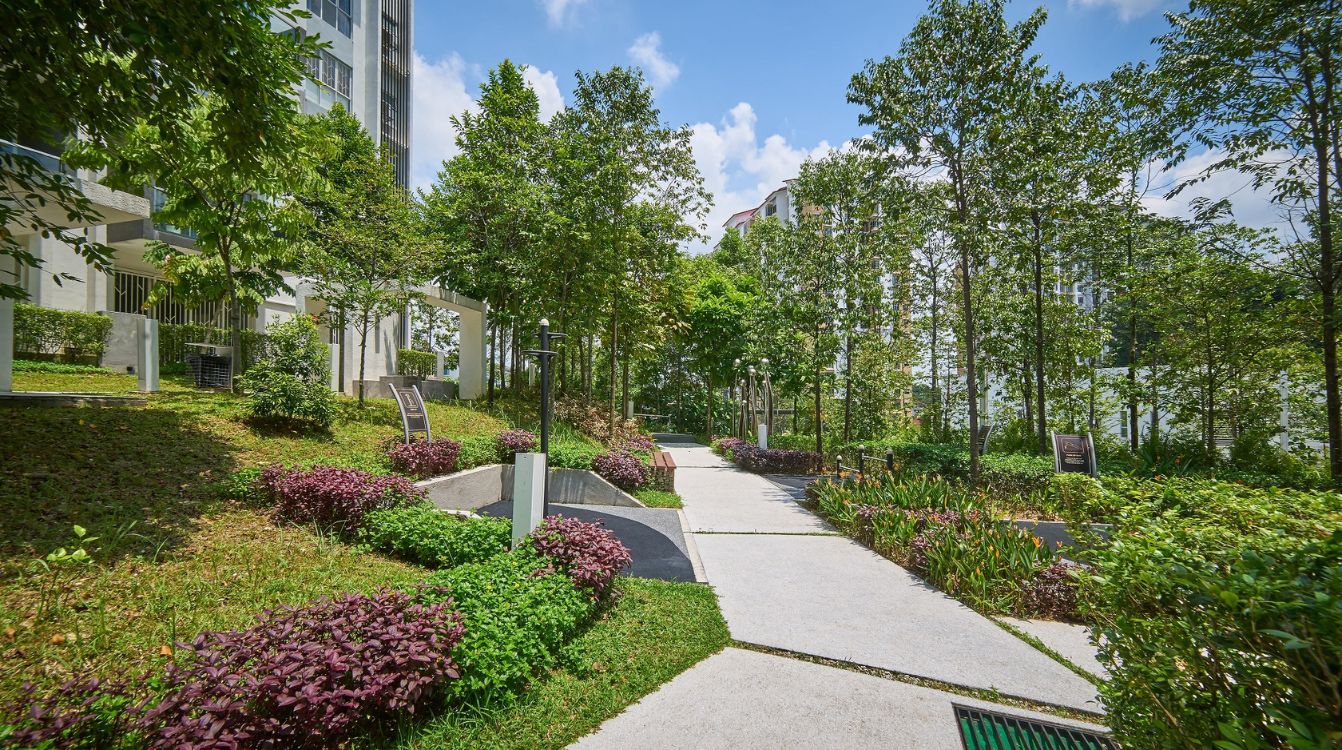 La proximidad a espacios verdes en torno al domicilio se asocia con un mayor peso al nacer. © Shutterstock – jamesteohart