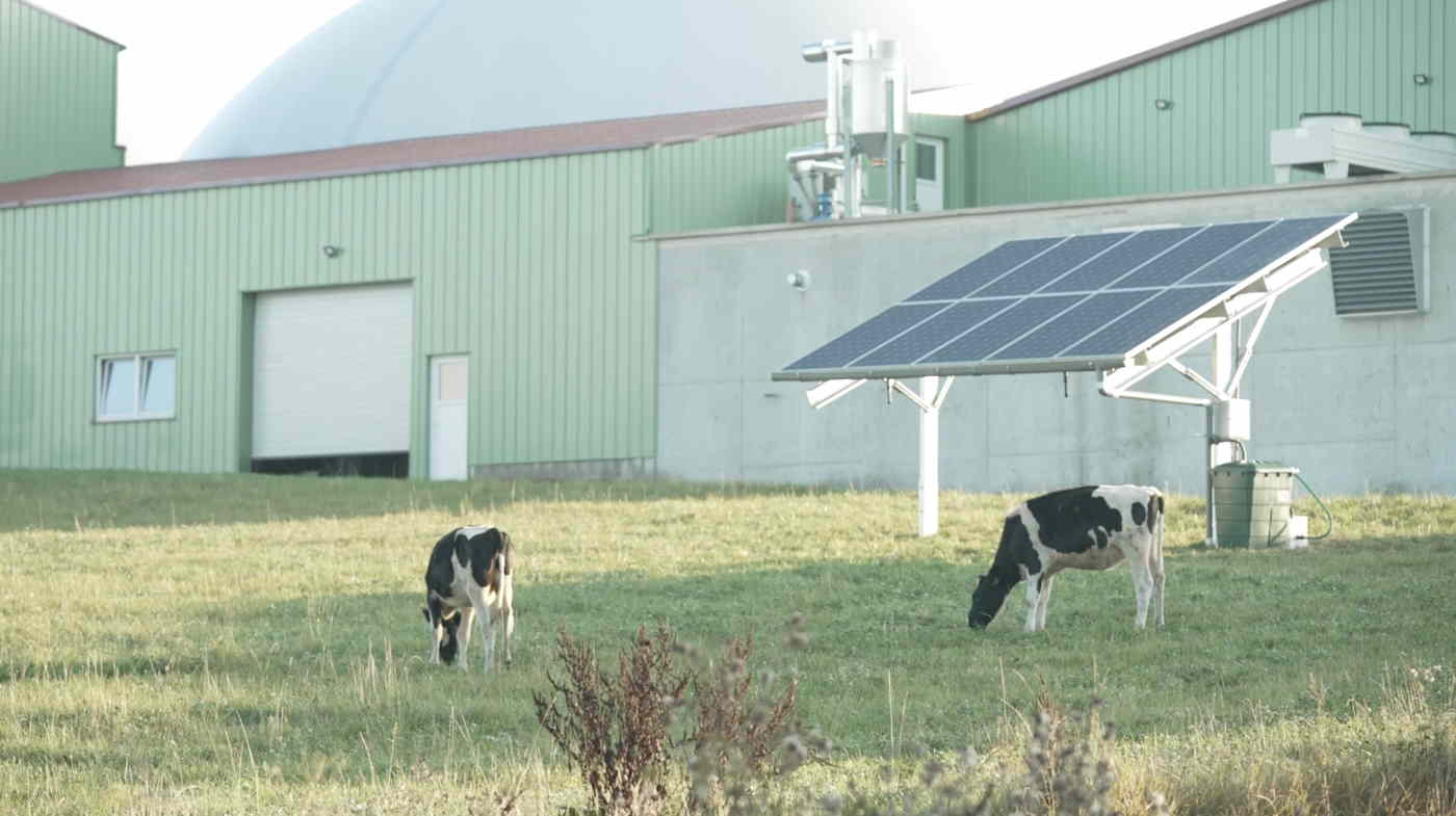 Proyecto de Iberdrola en la granja Kirch