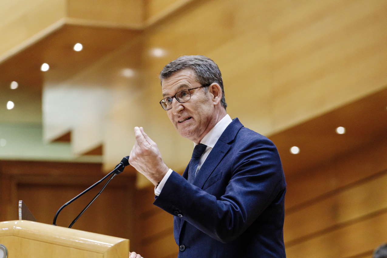 El líder del PP, Alberto Núñez Feijóo, comparece en un pleno del Senado.EP