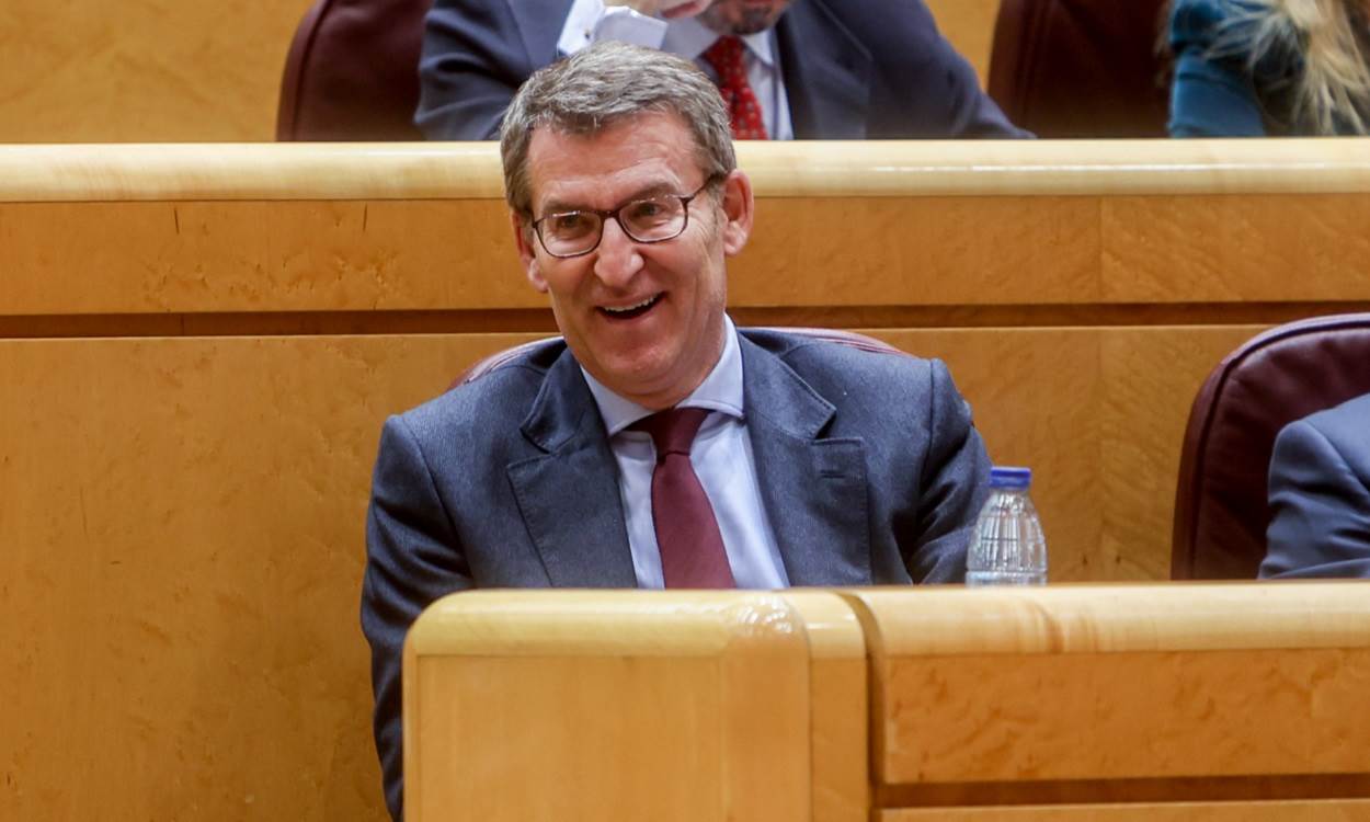 El líder del PP, Alberto Núñez Feijóo, en el Senado. EP