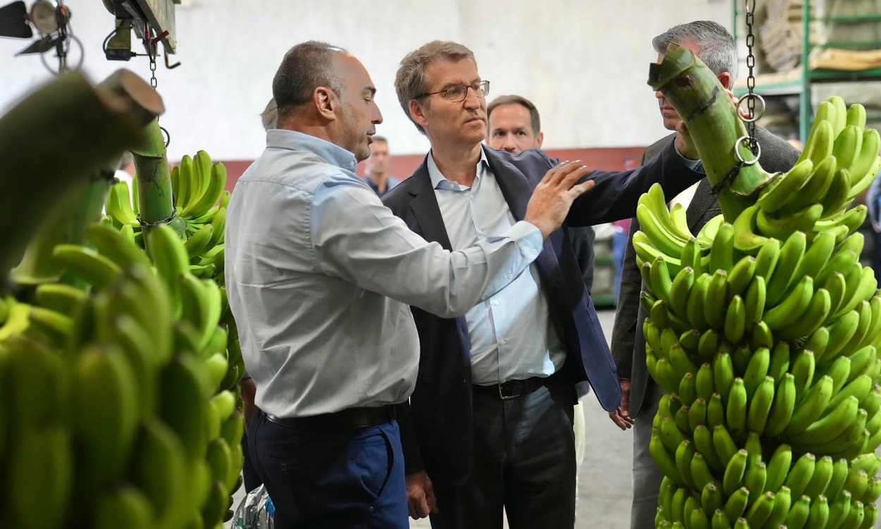 Alberto Núñez Feijóo en La Palma. PP