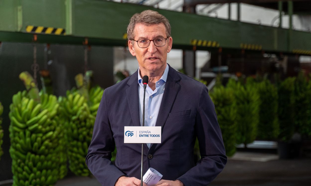 El líder del Partido Popular, Alberto Núñez Feijóo, interviene durante su visita a una empresa empaquetadora de plátanos, a 17 de febrero de 2023, en Los Llanos de Aridane, La Palma, Santa Cruz de Tenerife, Canarias (