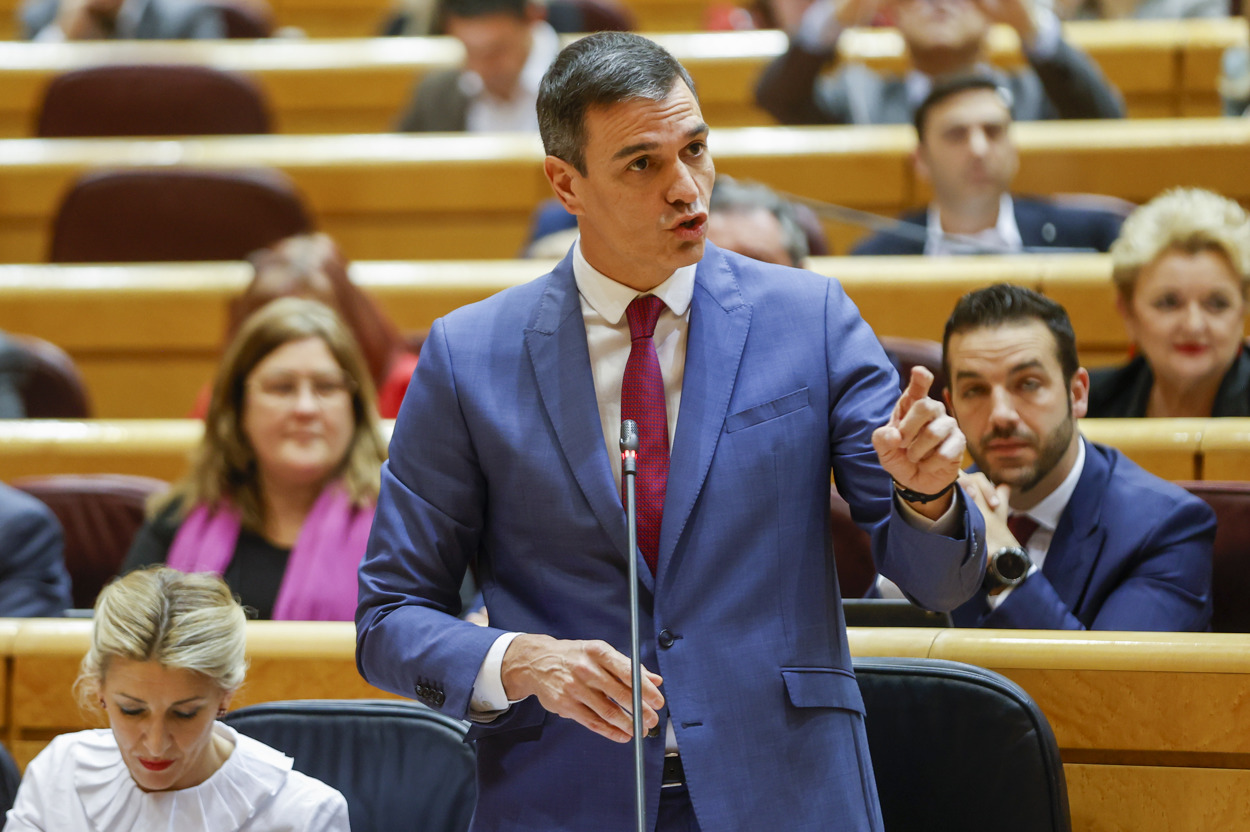El presidente del Gobierno, Pedro Sánchez, en la sesión de control en el Senado. EFE.