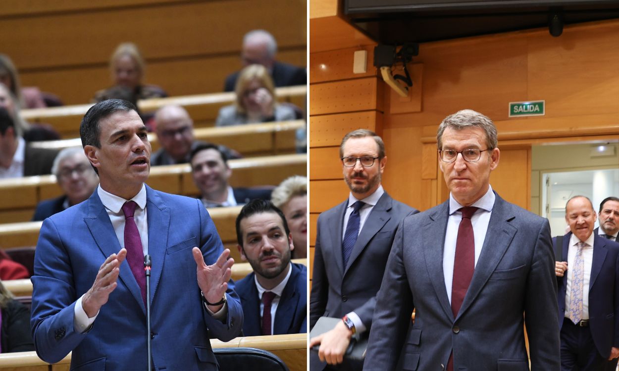 El presidente del Gobierno, Pedro Sánchez, y el líder de la oposición, Alberto Núñez Feijóo, en el Senado. EP.