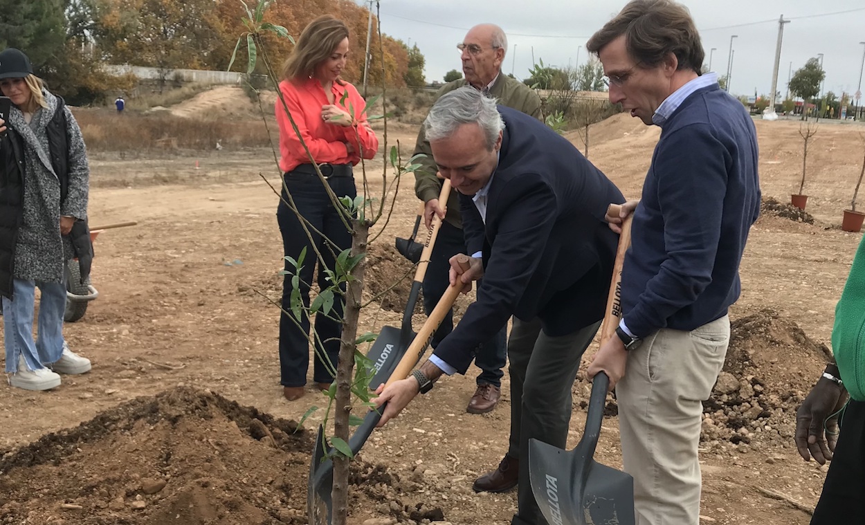 Almeida está envuelto en la polémica por la tala de árboles en Madrid. EP