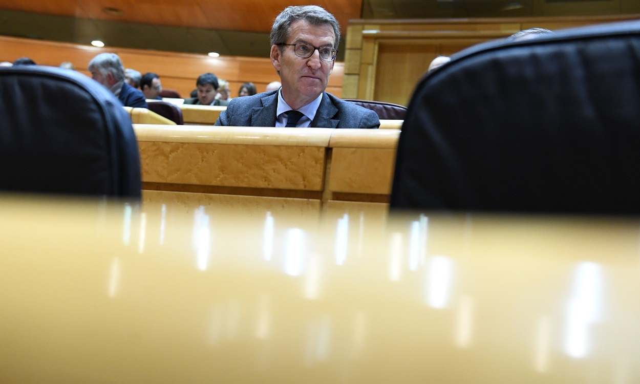 El líder del PP, Alberto Núñez Feijóo, en el Senado. EP