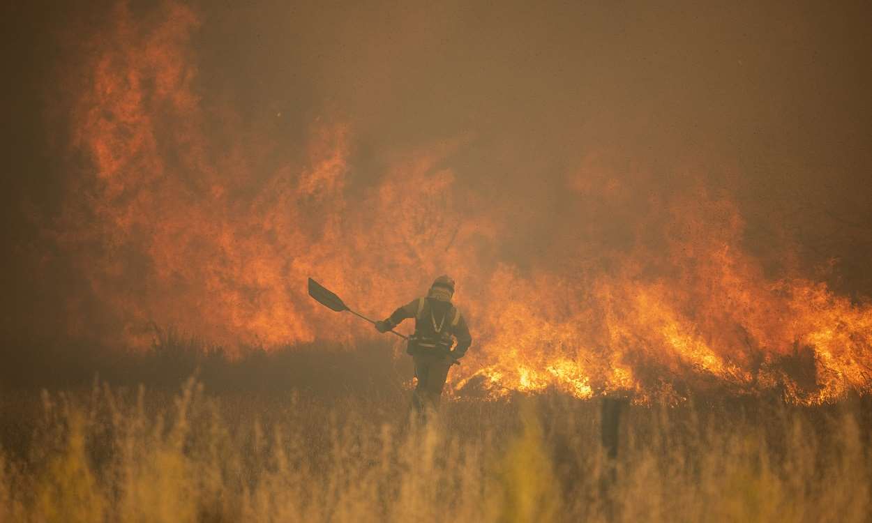 Efectivos de bomberos durante el incendio de la Sierra de la Culebra, a junio de 2022. EP