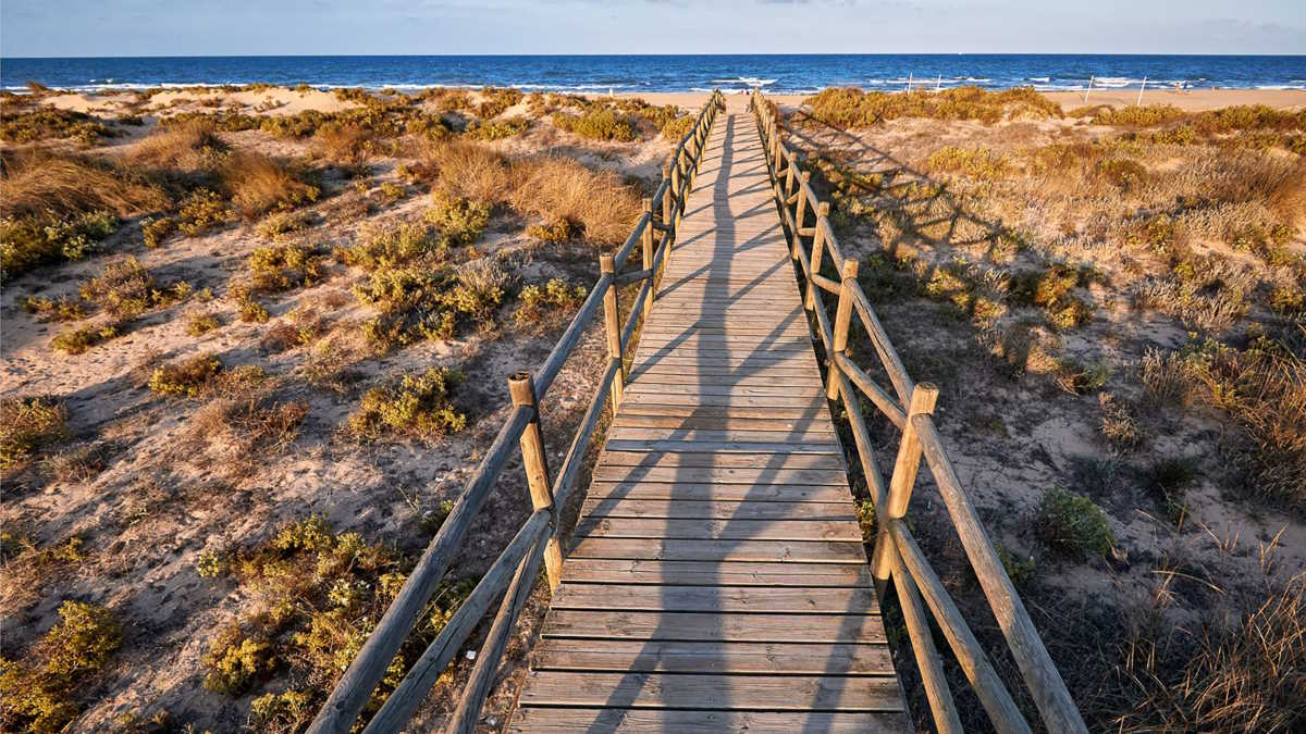 Gandía cuenta con 7 kilómetros de playas vírgenes