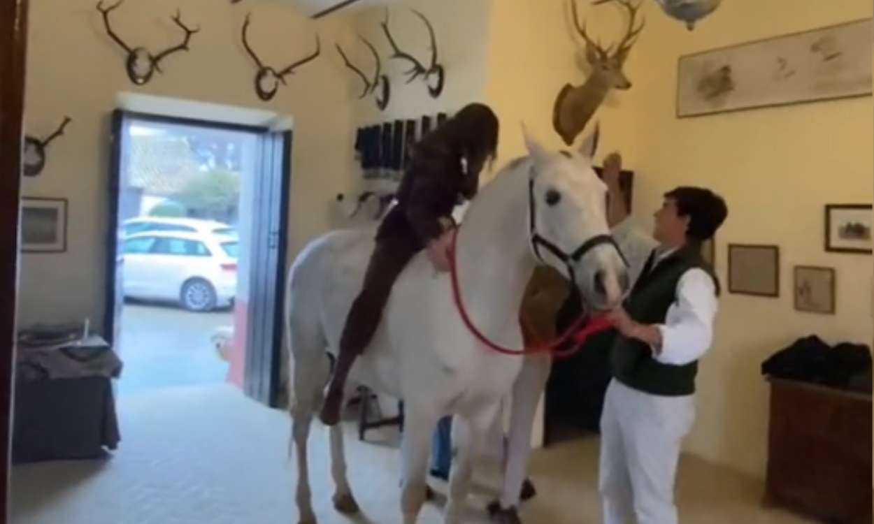 Caballo blanco en un salón. TikTok