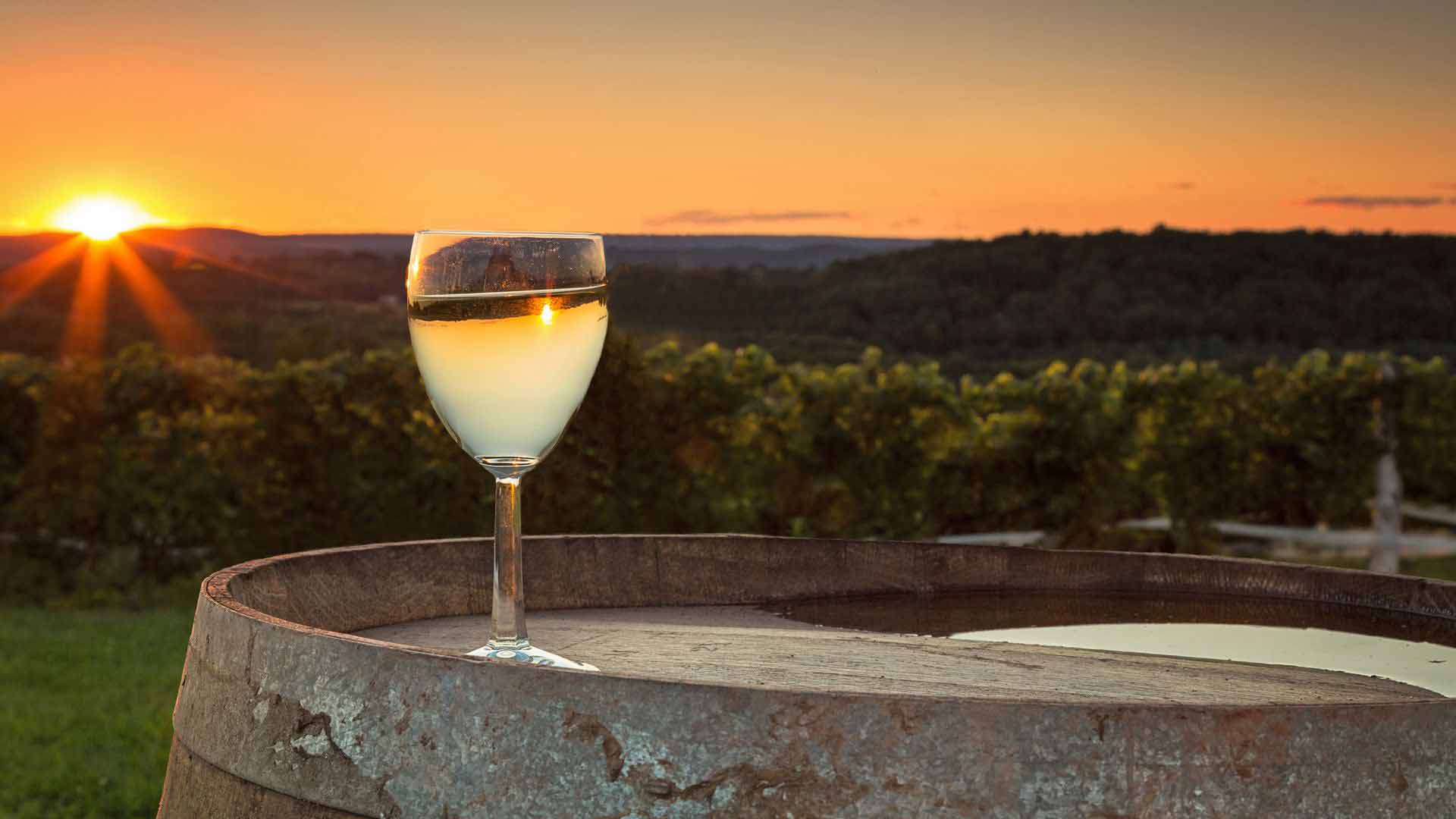 El enoturismo permite al visitante conocer las bodegas y recorrer maravillosos viñedos