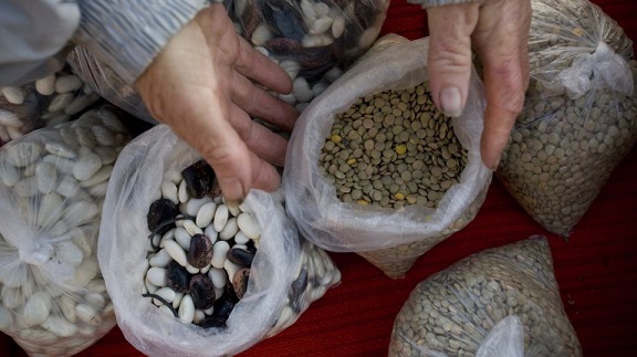 Garbanzos, habas, lentejas y demás legumbres para combatir las enfermedades de hoy