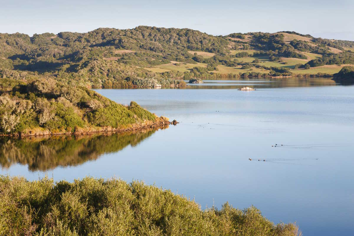 La Albufera des Grau, Maó, es un espacio protegido donde habita una gran diversidad de especies animales y vegetales (Foto: AETIB)