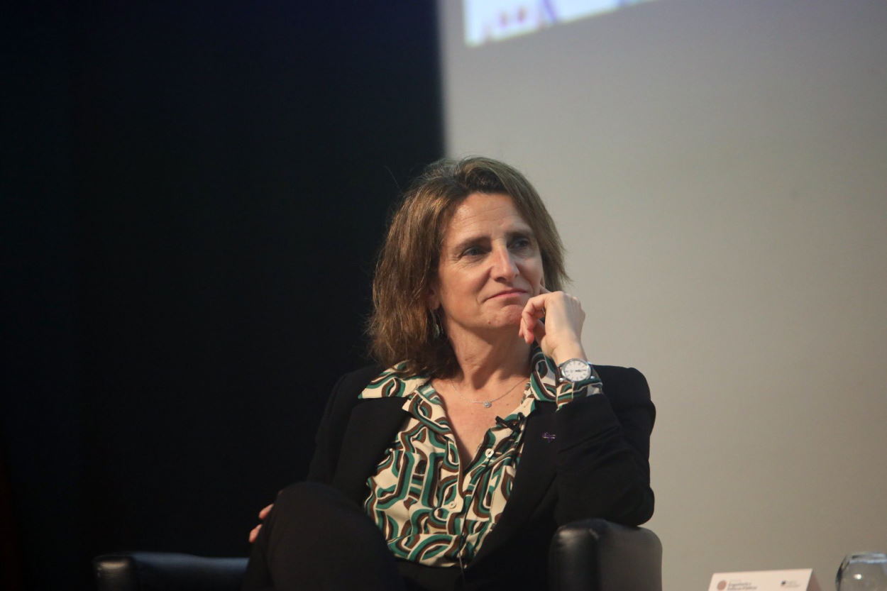 Teresa Ribera, vicepresidenta tercera del Gobierno y ministra para la Transición Ecológica y el Reto Demográfico. EP