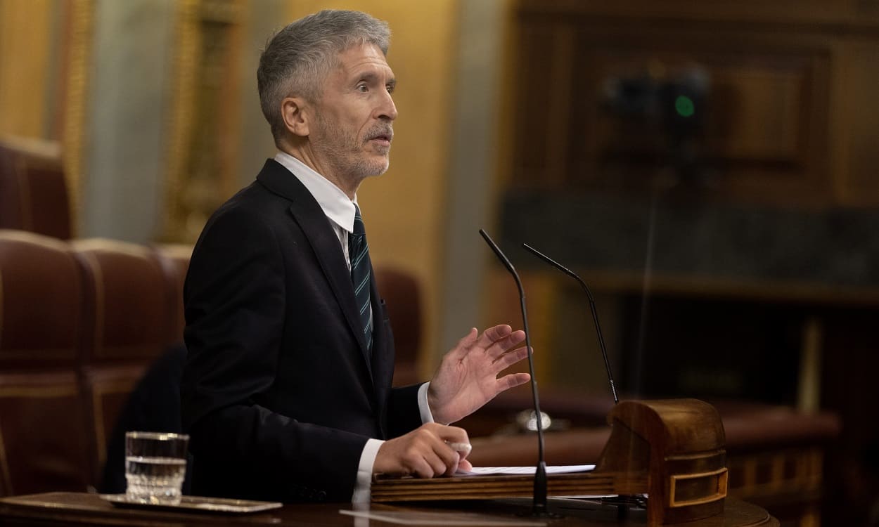 Fernando Grande Marlaska, ministro del Interior, en el Congreso. EP