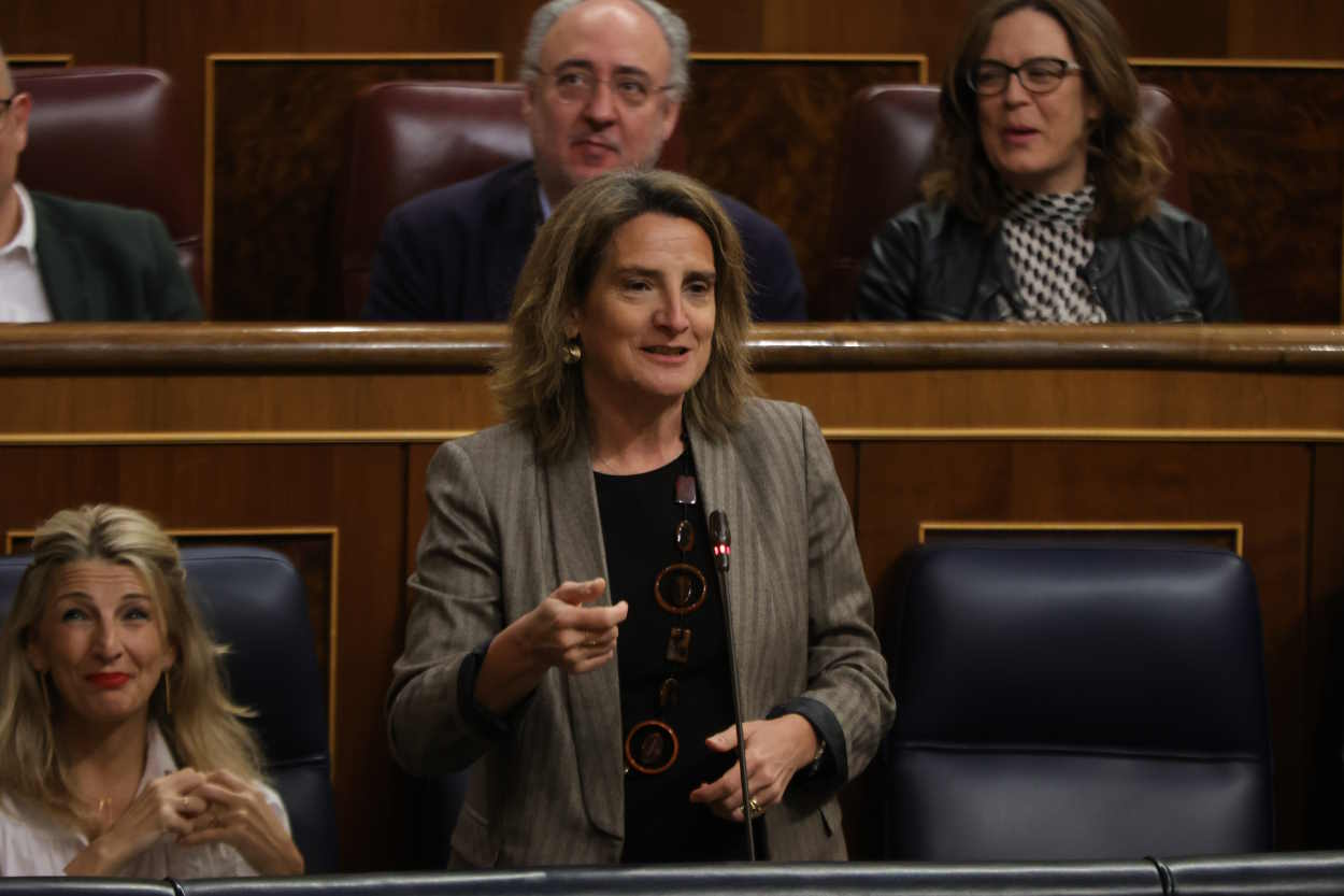 Teresa Ribera, vicepresidenta tercera y ministra para la Transición Ecológica. EP
